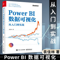 《PowerBI数据可视化从入门到实战袁佳林著提升数据分析可视化能力PowerBI入门》[65M]百度网盘|pdf下载|亲测有效