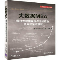 《大数据MBA通过大数据实现与分析驱动企业决策与转型》[72M]百度网盘|pdf下载|亲测有效