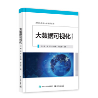 《大数据可视化——高级大数据人才培养丛书》[73M]百度网盘|pdf下载|亲测有效