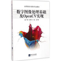 《数字图像处理基础及OpenCV实现》[68M]百度网盘|pdf下载|亲测有效