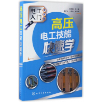 《高压电工技能快速学》[61M]百度网盘|pdf下载|亲测有效