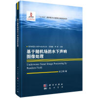 《基于随机场的水下声呐图像处理》[42M]百度网盘|pdf下载|亲测有效