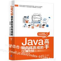《Java高手是怎样炼成的原理方法与实践高永强java语言编程入门教程书籍高等院校》[54M]百度网盘|pdf下载|亲测有效