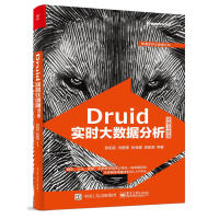 《Druid实时大数据分析原理与实践欧》[57M]百度网盘|pdf下载|亲测有效