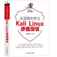 《从实践中学习KaliLinux渗透测试》[78M]百度网盘|pdf下载|亲测有效