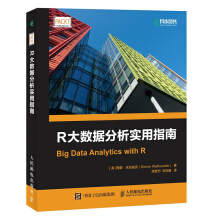《R大数据分析实用指南》[51M]百度网盘|pdf下载|亲测有效