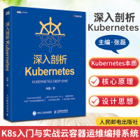 《深入剖析KubernetesK8s入门与实战云容器运维编排系统Ku》[76M]百度网盘|pdf下载|亲测有效