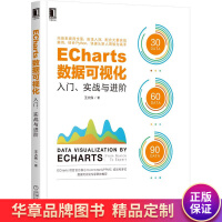 《ECharts数据可视化:入门、实战与进阶王大伟》[81M]百度网盘|pdf下载|亲测有效