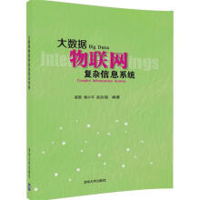 《大数据物联网复杂信息系统梁循,杨小平,赵吉超》[34M]百度网盘|亲测有效|pdf下载