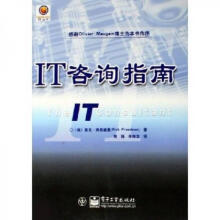《IT咨询指南：》[49M]百度网盘|亲测有效|pdf下载