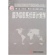 《国外信息系统审计案例》[42M]百度网盘|亲测有效|pdf下载