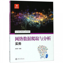 《网络数据爬取与分析实务》[23M]百度网盘|亲测有效|pdf下载