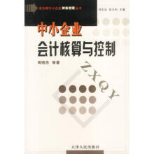 《中小企业会计核算与控制》[31M]百度网盘|亲测有效|pdf下载