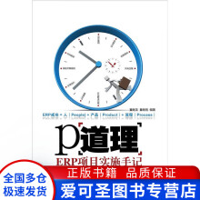 《P道理ERP项目实施手记童继龙童继明童继龙、童继明》[24M]百度网盘|亲测有效|pdf下载