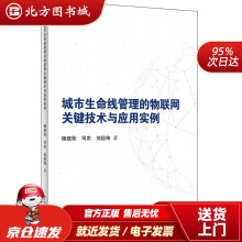 《城市生命线管理的物联网关键技术与应用实例杨建栋,司农,刘经纬北方城》[33M]百度网盘|亲测有效|pdf下载