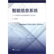 《智能信息系统：以关联知识优化数据建模的方法和实践》[59M]百度网盘|亲测有效|pdf下载