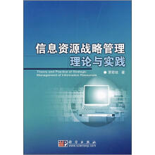 《信息资源战略管理理论与实践》[33M]百度网盘|亲测有效|pdf下载