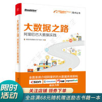 《大数据之路阿里巴巴大数据实践》[53M]百度网盘|亲测有效|pdf下载